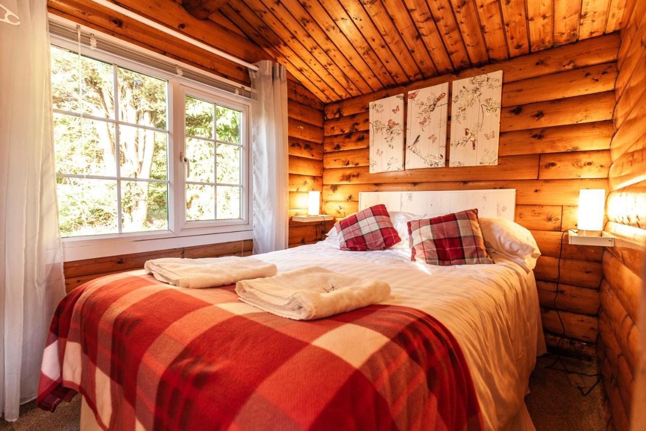 Welsh Retreat 2 Bedroom Log Cabin - Seren Property Trawsfynydd Exterior foto